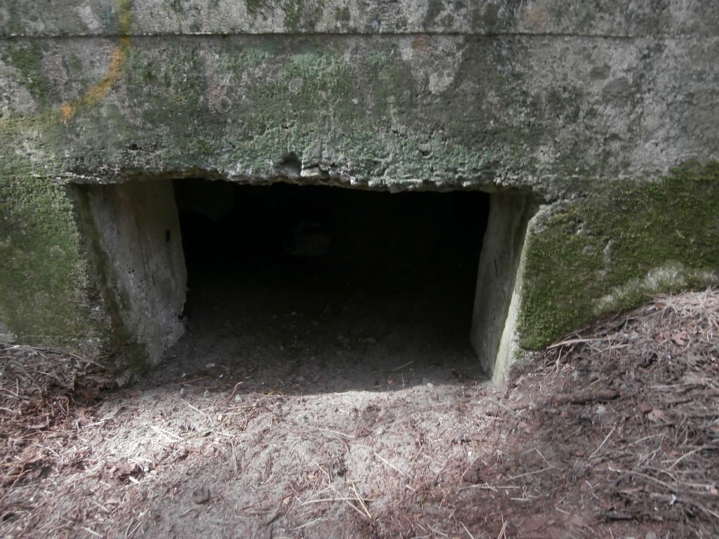 Foto 5 Bunker delle Gorette a Cecina
