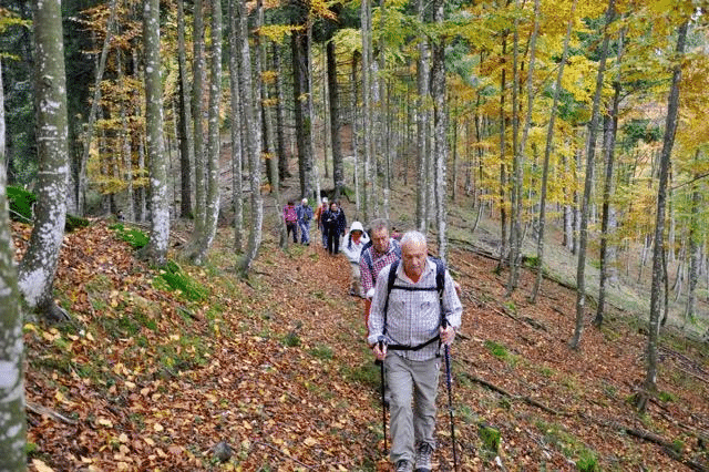 Foresta del Cansiglio (foto: Mauro Tesolin)