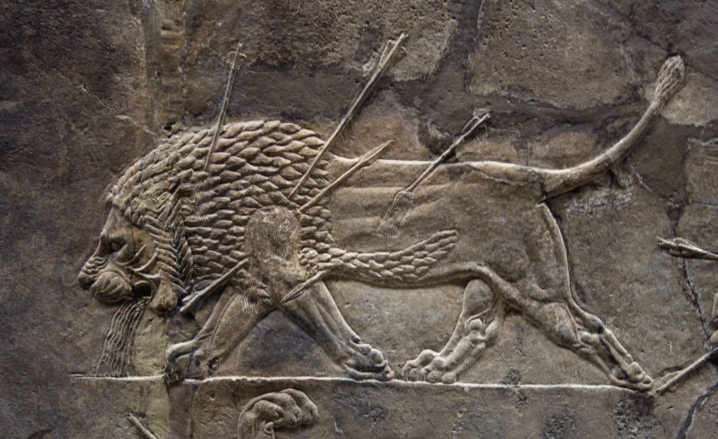 Un bassorilievo di Ninive al British Museum (da https://it.wikipedia.org/wiki/Ninive#/media/File:Britishmuseumassyrianlionhuntreliefdyinglion.jpg)