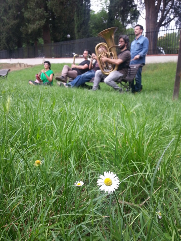 Firenze, Rione San Niccolò. Un fiore, durante il flash mob degli strumenti a fiato