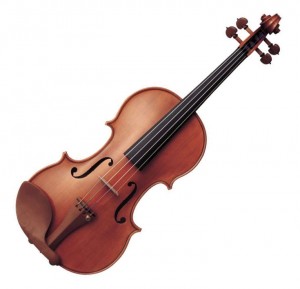 violino