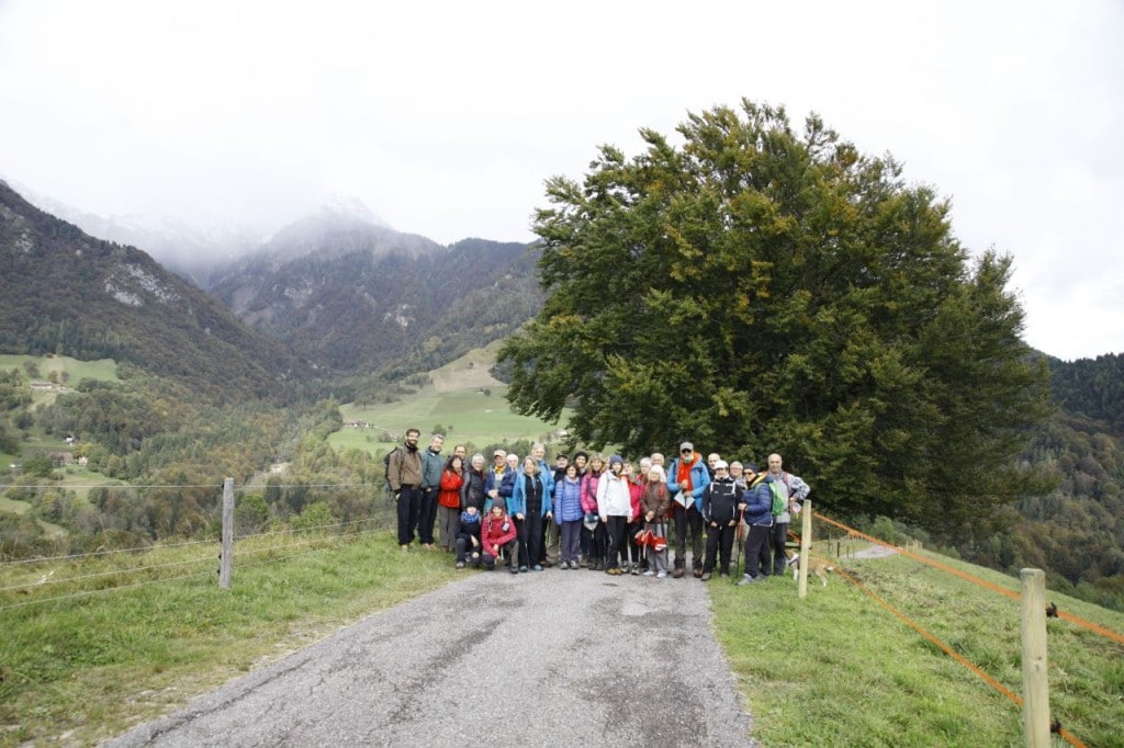 5-fotro-gruppo-sotto-il-faggio