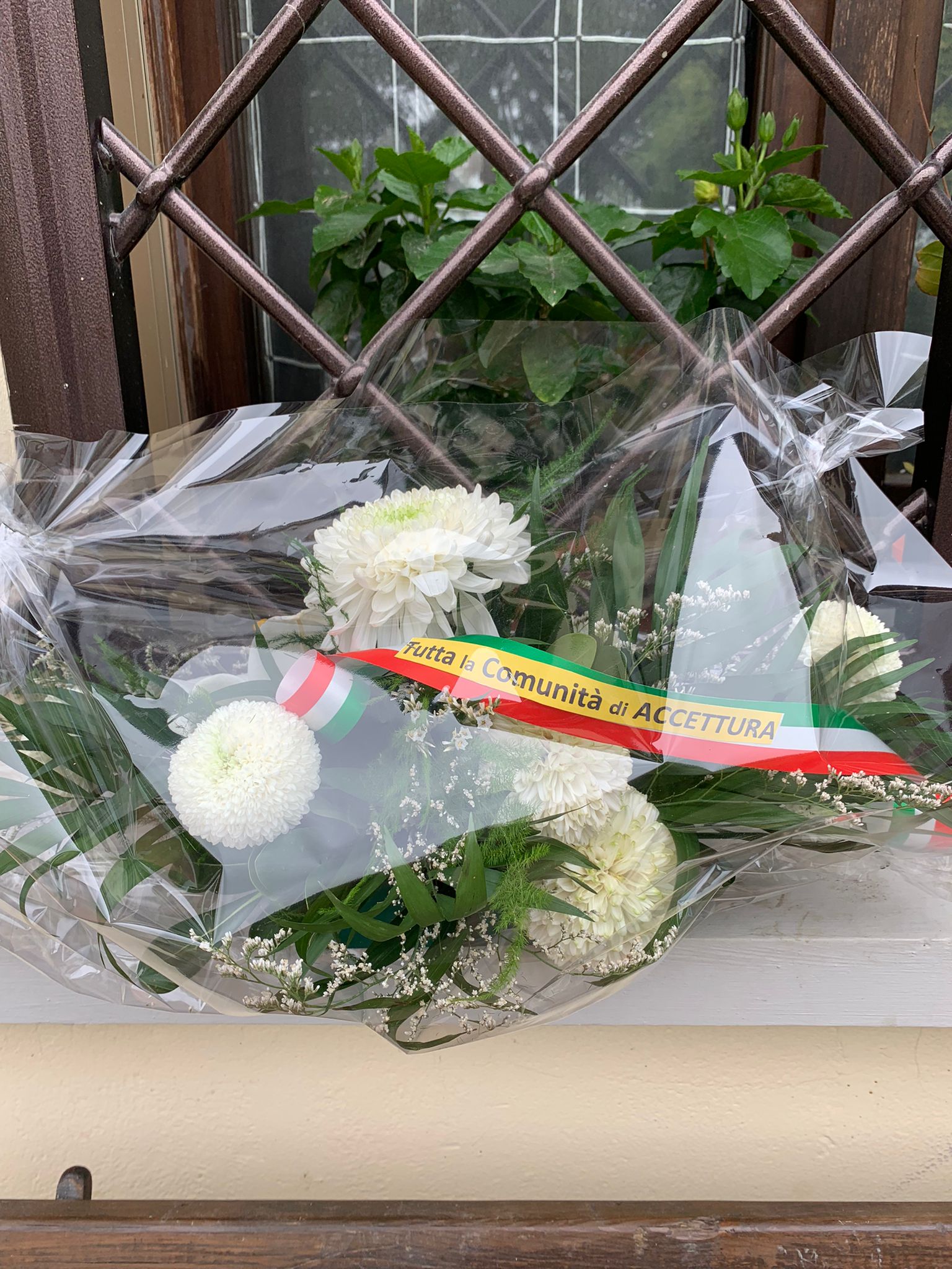 Sotto Il Cielo Europeo Un Fiore Per Donato Nicola E Antonio Patria 