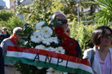 fiori ANPI