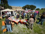 Savona 5