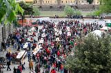 firenze 4